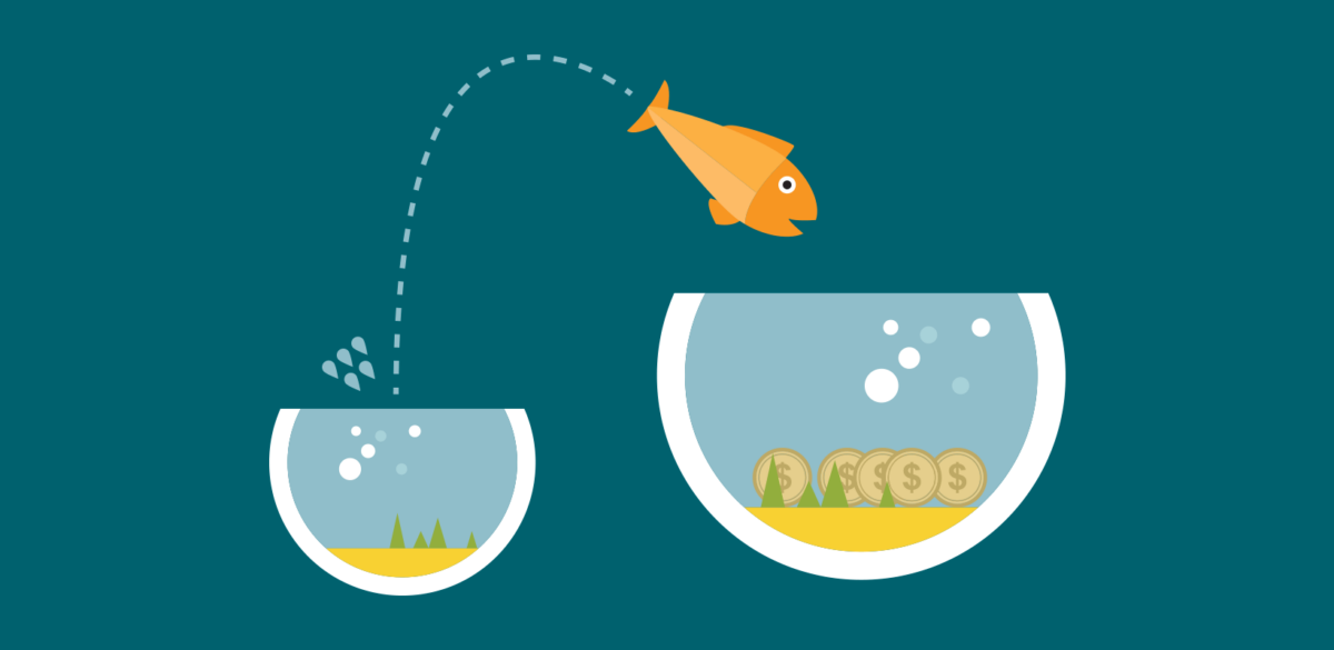 How to optimize a nonprofit website - image of a fish jumping frmo a small bowl into a bigger